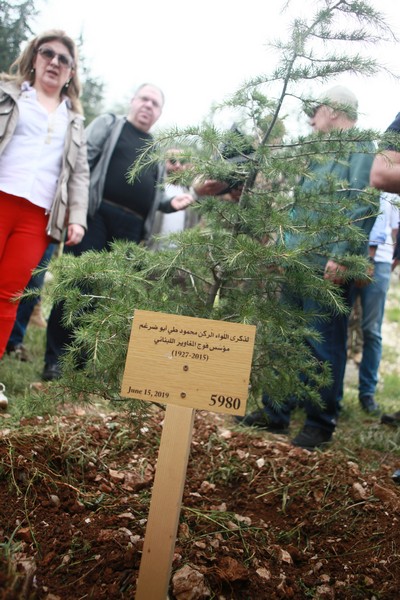 Cedar tree in memory of the Lebanese Commandos Regiment founder